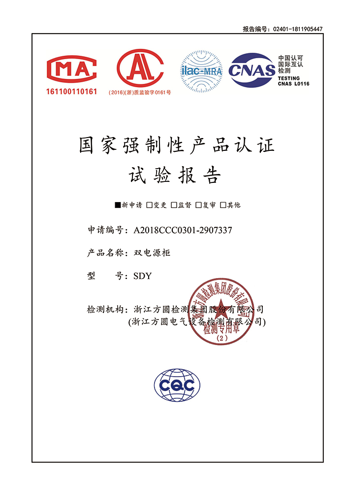 SDY 检验报告