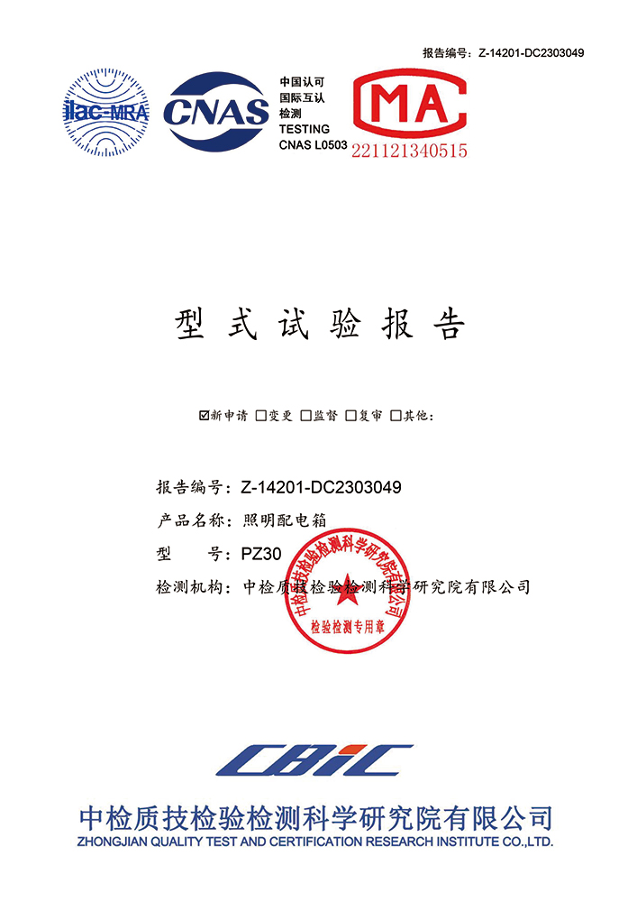 PZ30 检验报告