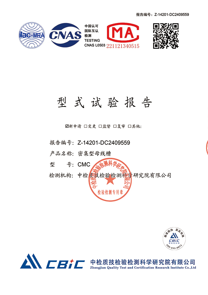 CMC 检验报告